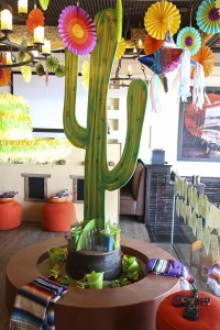 cactus decoration