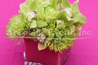 Green Flowers in a pink square vase