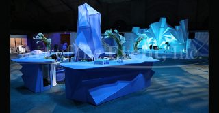 Ice-themed party