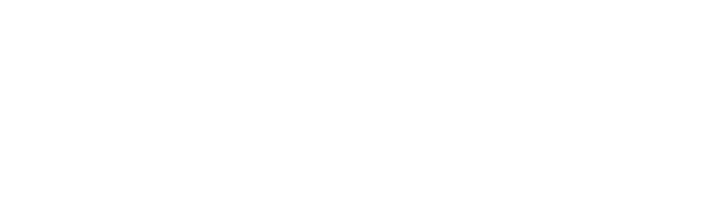Red Sox logo